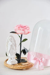 ROSA INMORTALIZADA ROSADA CON VIRGEN